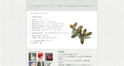 Desktop Screenshot of painterfun.com